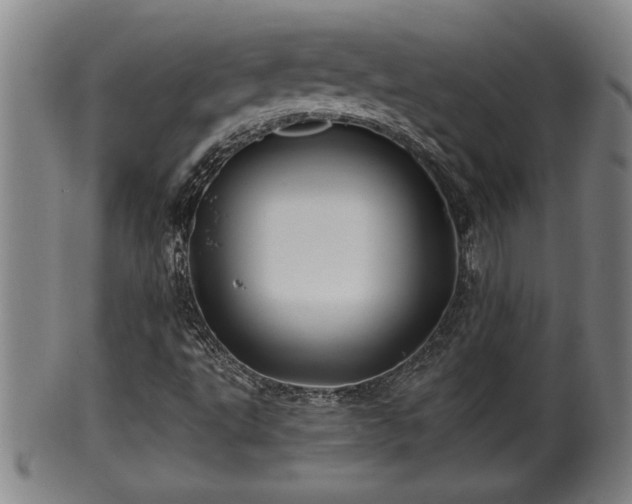 X0000100221495200806061332