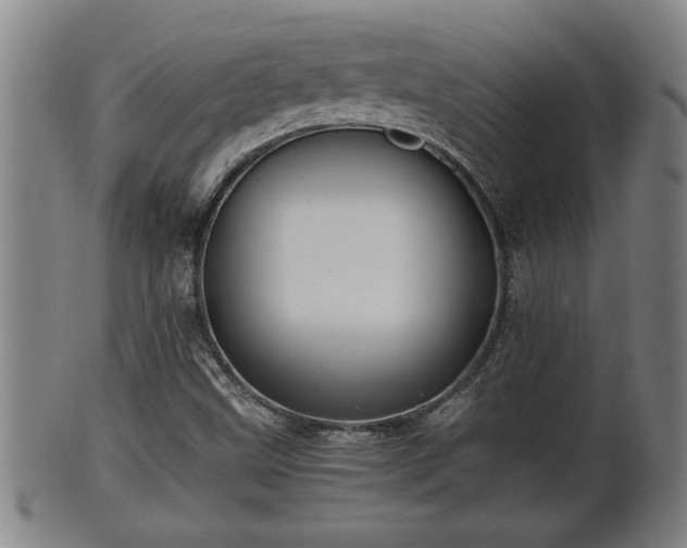 X0000100221499200806061332