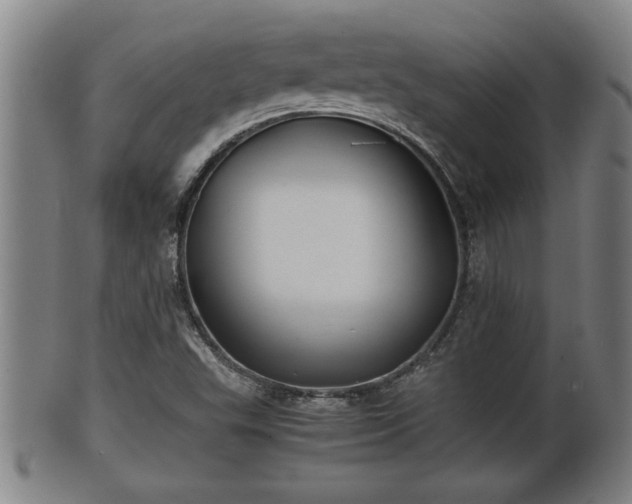 X0000100221503200806061332