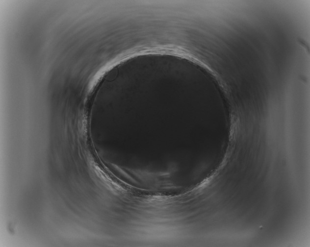 X0000100221506200806061332