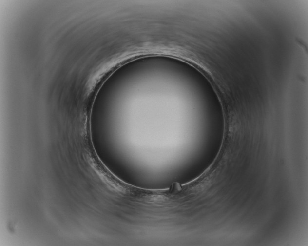 X0000100221507200806061332