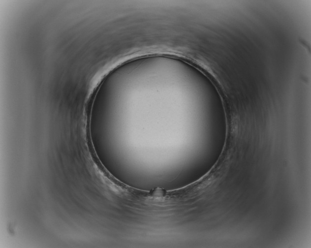 X0000100221508200806061332