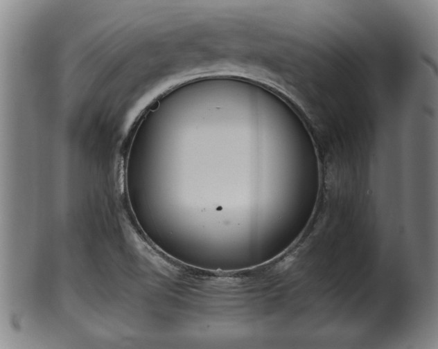 X0000100221510200806061332