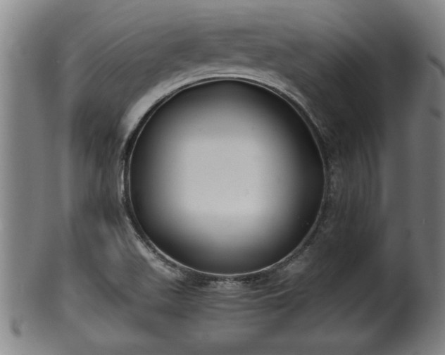 X0000100221511200806061332