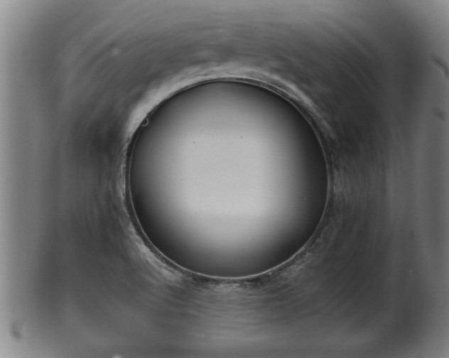 X0000100221512200806061332