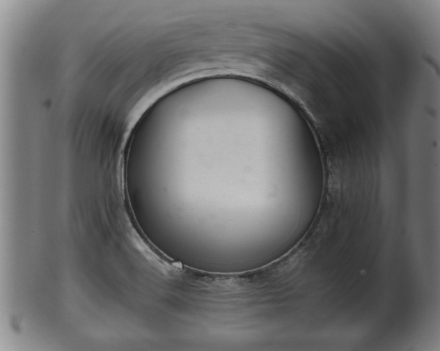 X0000100221516200806061332