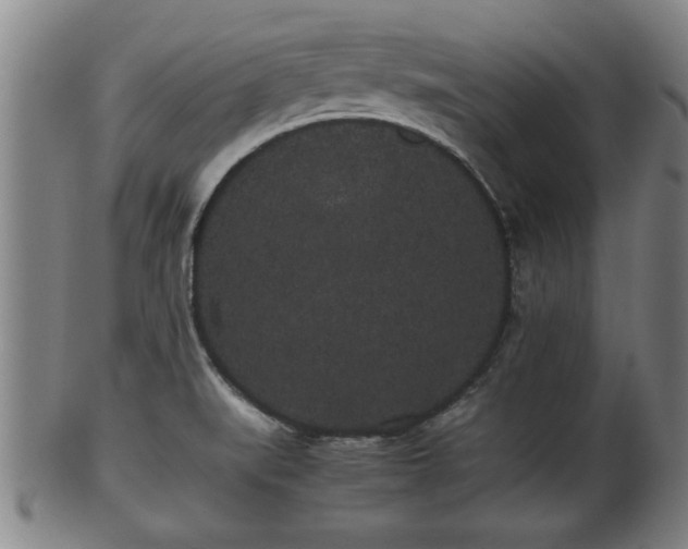 X0000100221519200806061332