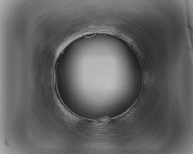 X0000100221520200806061332