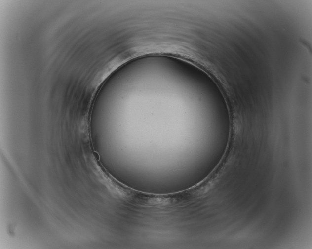 X0000100221521200806061332