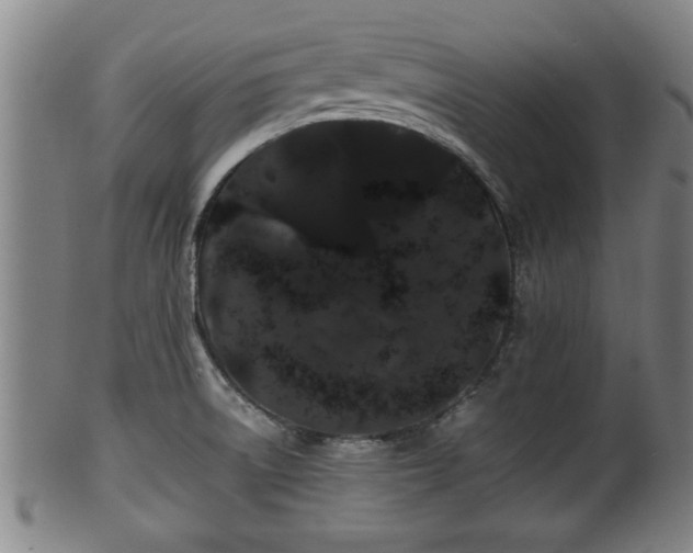 X0000100221522200806061332