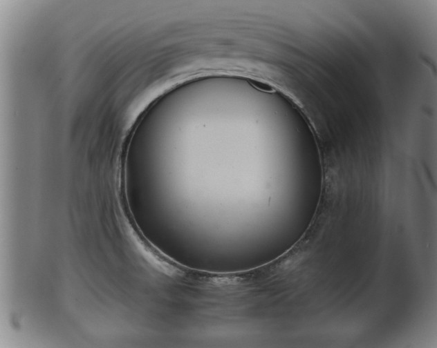 X0000100221523200806061332