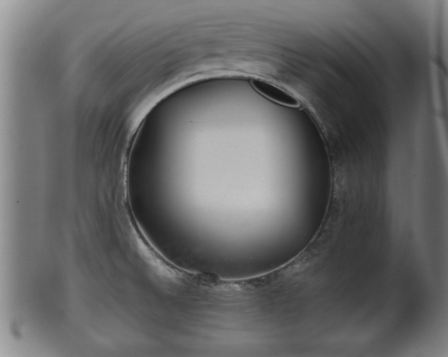 X0000100221524200806061332