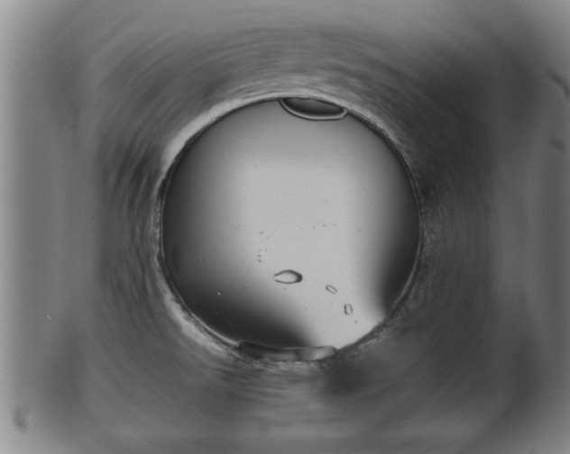 X0000100221526200806061332