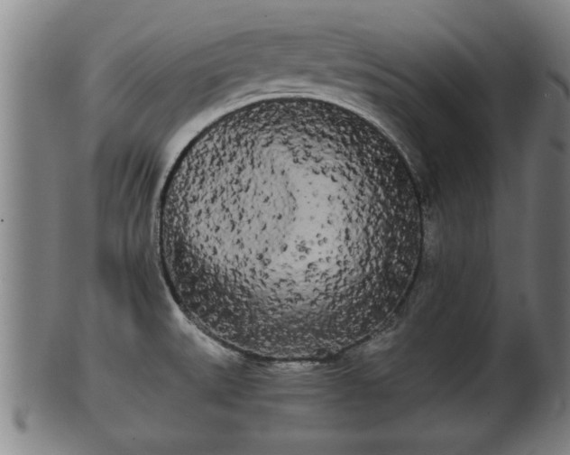 X0000100221527200806061332