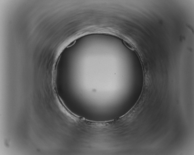 X0000100221528200806061332