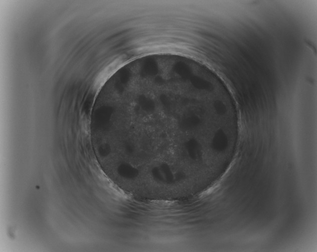 X0000100221529200806061332