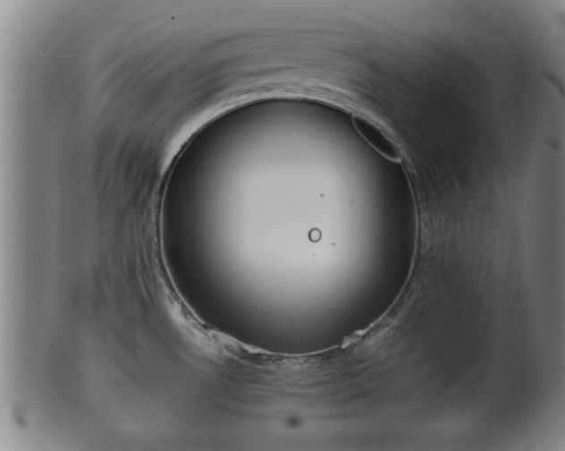 X0000100221530200806061332