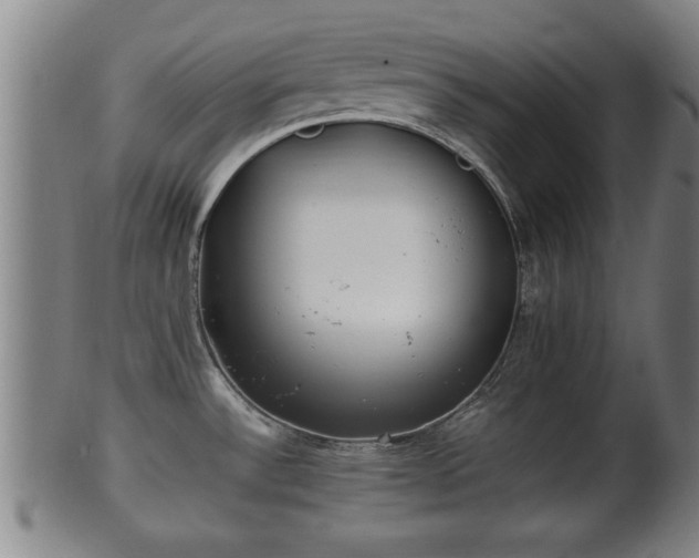 X0000100221532200806061332