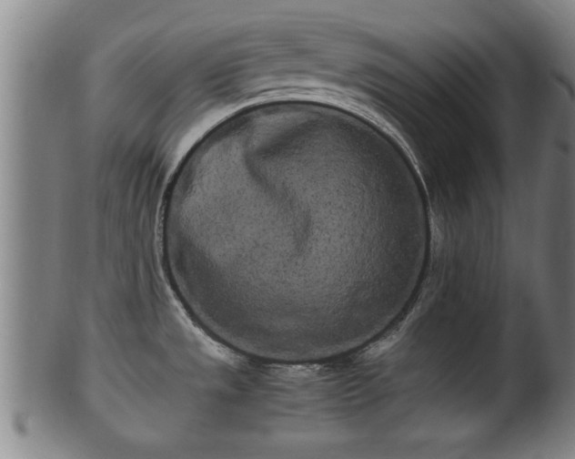 X0000100221533200806061332