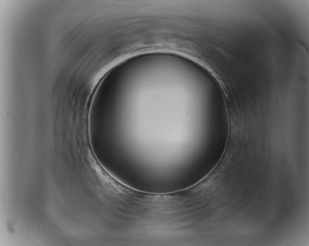 X0000100221534200806061332