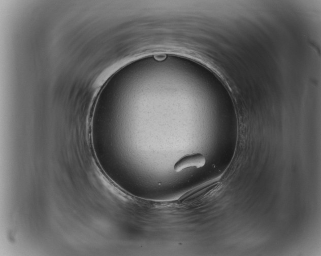 X0000100221535200806061332