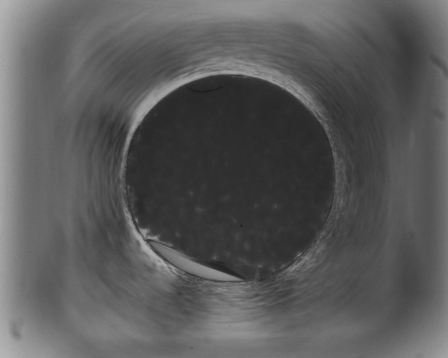 X0000100221536200806061332