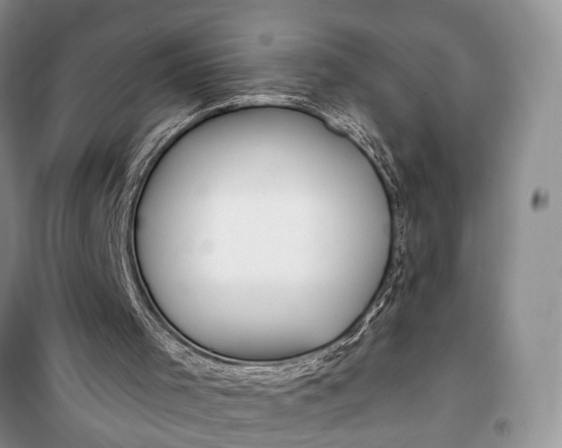 X0000100220001200806131324