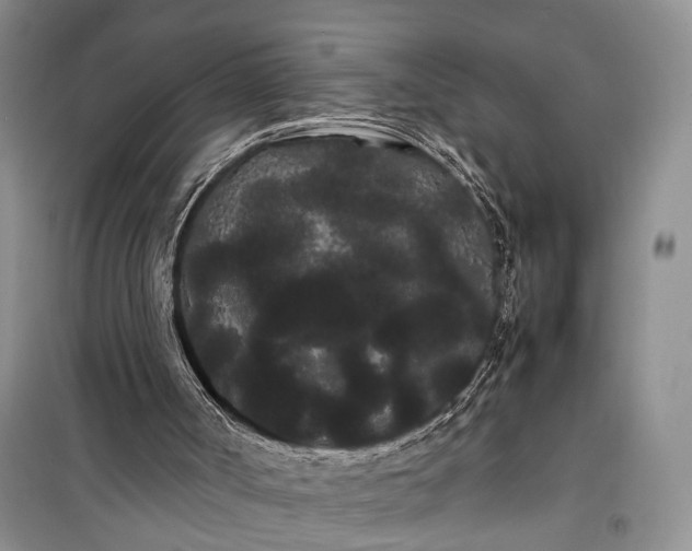 X0000100220002200806131324