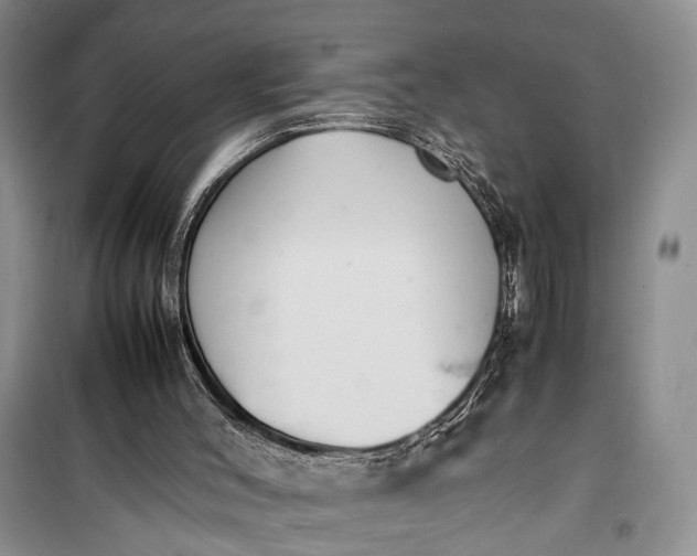 X0000100220004200806131324