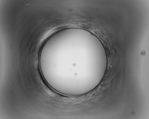 X0000100220005200806131324