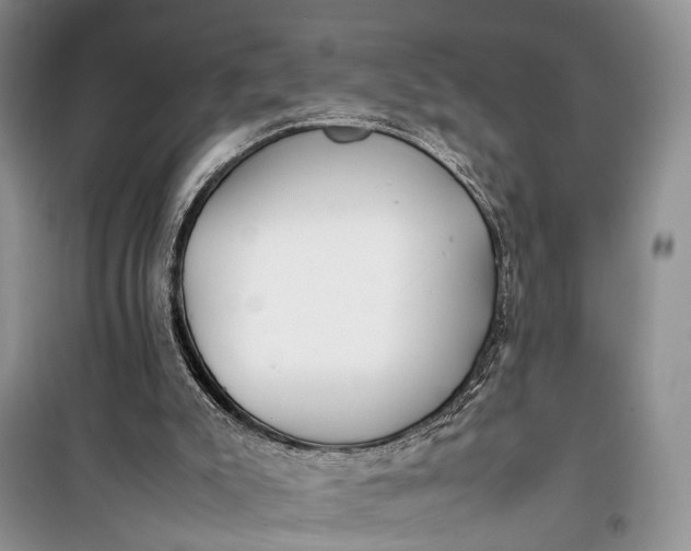 X0000100220007200806131324