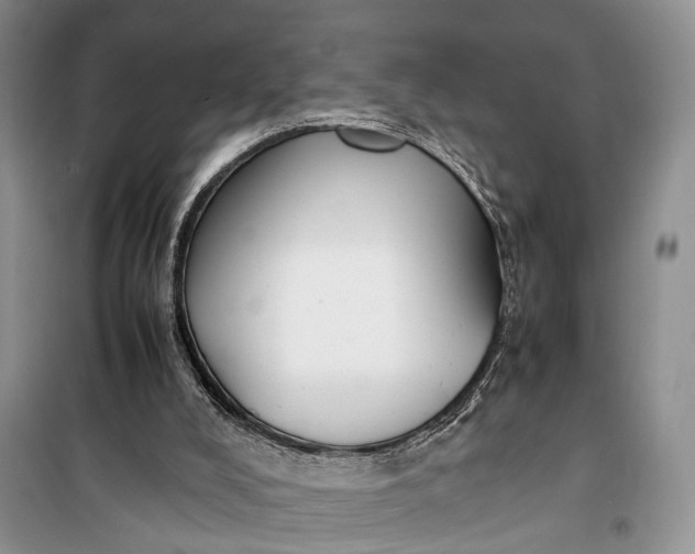 X0000100220008200806131324