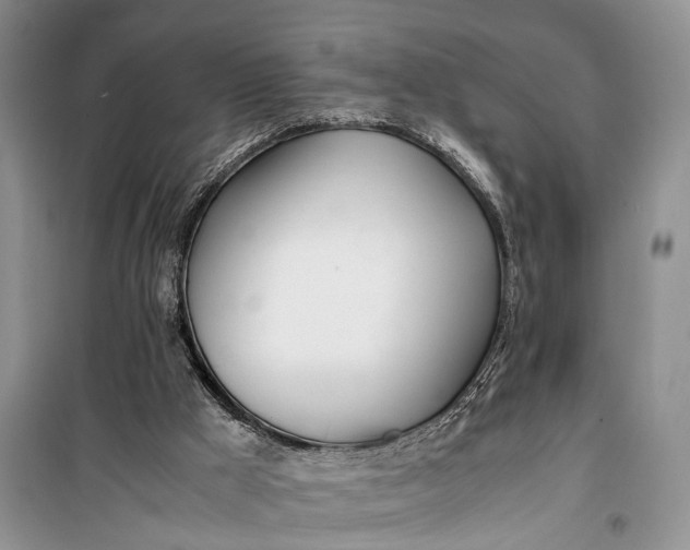 X0000100220009200806131324