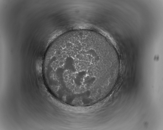 X0000100220010200806131324