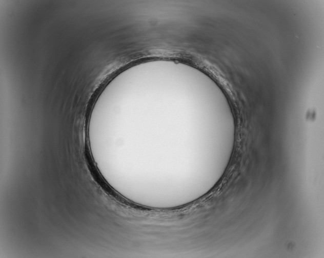 X0000100220011200806131324