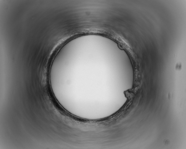 X0000100220012200806131324