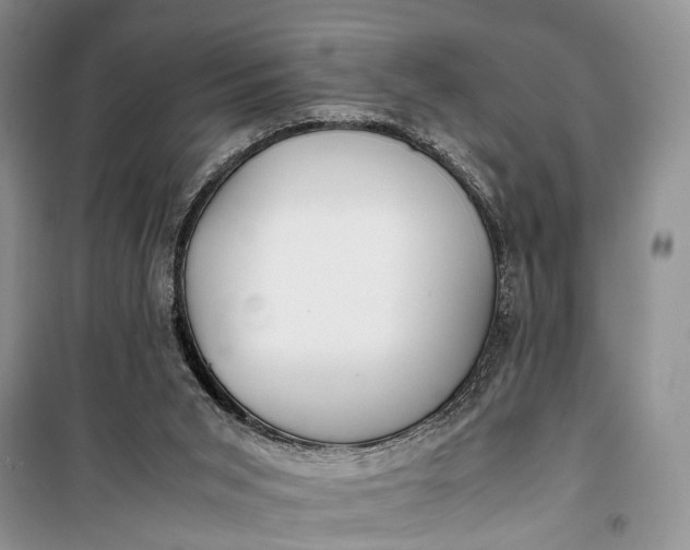 X0000100220015200806131324