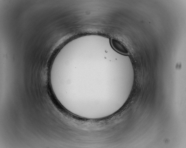 X0000100220016200806131324