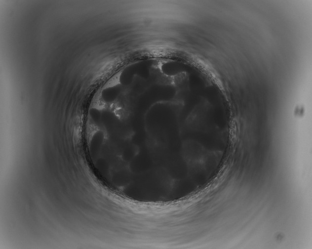 X0000100220018200806131324