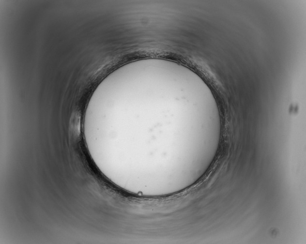 X0000100220021200806131324