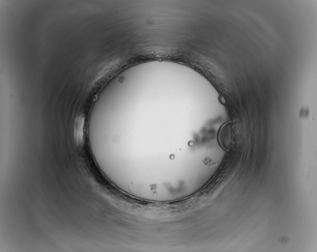 X0000100220024200806131324