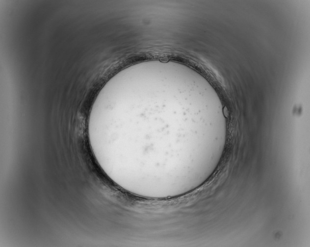 X0000100220025200806131324