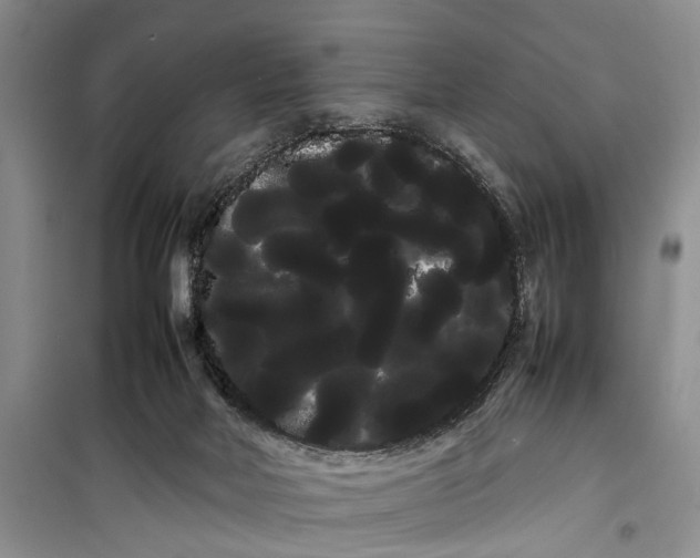 X0000100220026200806131324