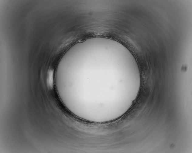 X0000100220028200806131324