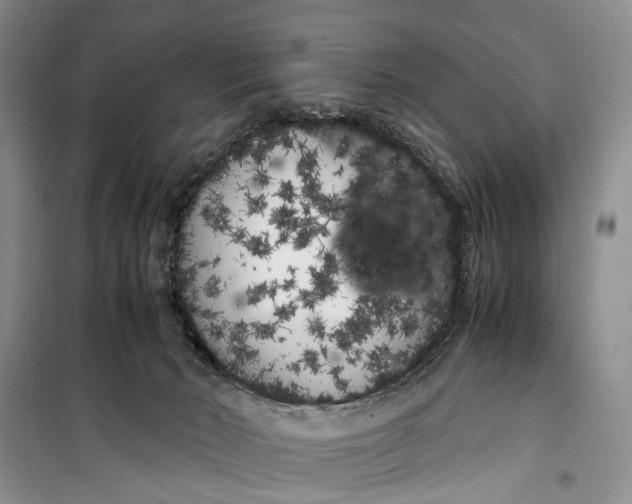 X0000100220030200806131324