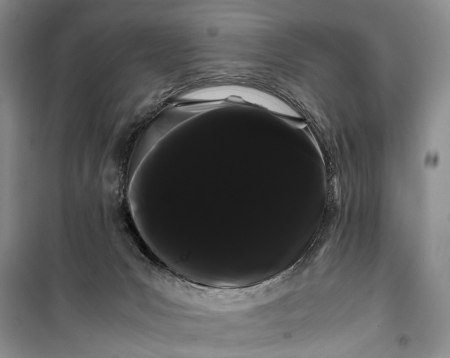 X0000100220031200806131324