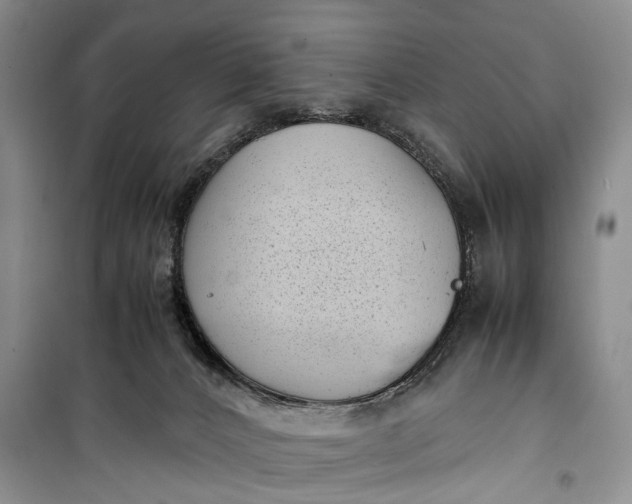 X0000100220032200806131324