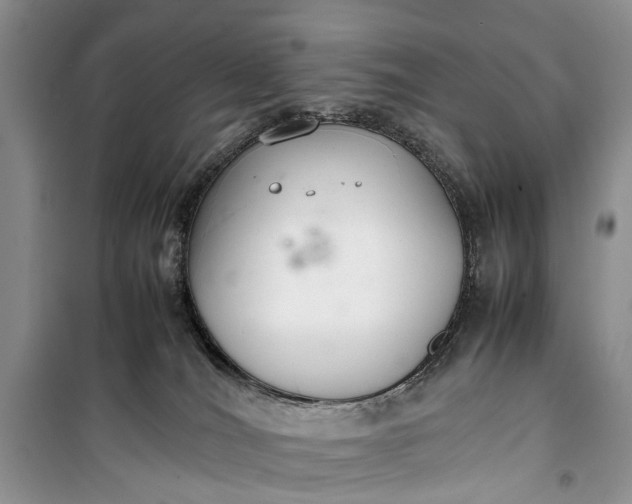 X0000100220036200806131324