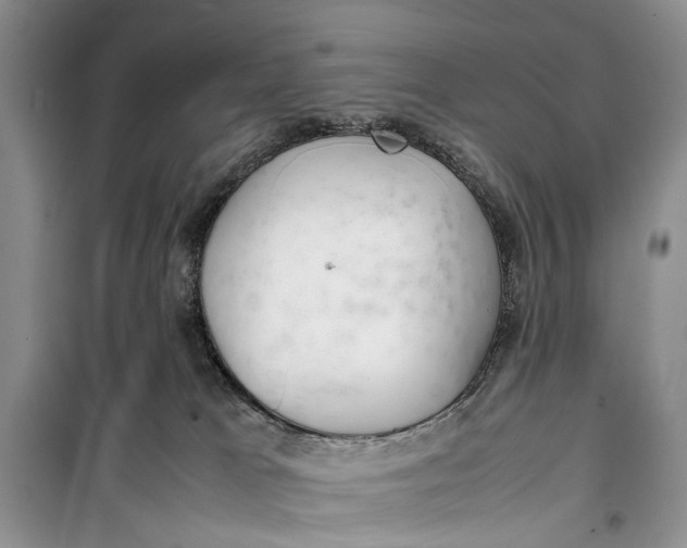 X0000100220037200806131324