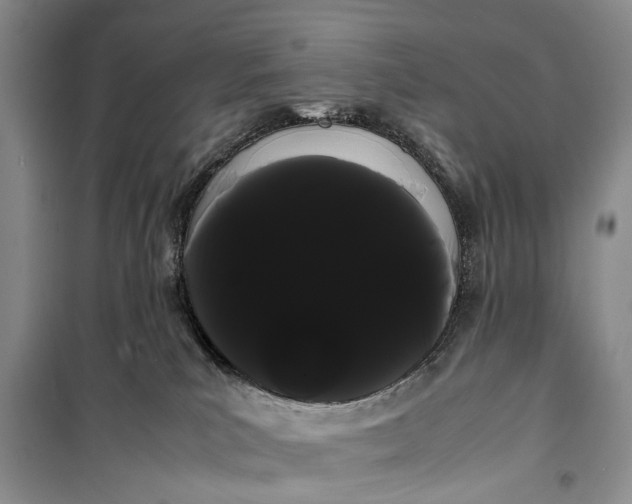 X0000100220039200806131324